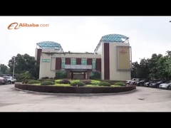 গুয়াংজু ভিকিং অটো পার্টস সিও, এলটিডি