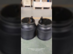 48090-60010/48080-60010 TOYOTA LEXUS পিছনের বাম/ পিছনের ডান