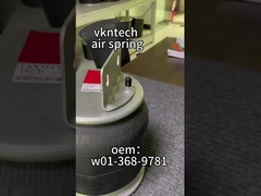 REIGHTLINER 16-13840-000 Contitech 9 10S-16 A382 681-320-0017 ফায়ারস্টোন W01-358-9781 1T15ZR-6 Goodye